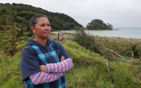 Kaitiaki o te taiao Nina Raharuhi says controversy about access roads being carved through dunes on the Far North’s Karikari Peninsula has highlighted wider concerns about damage by off-road vehicles.