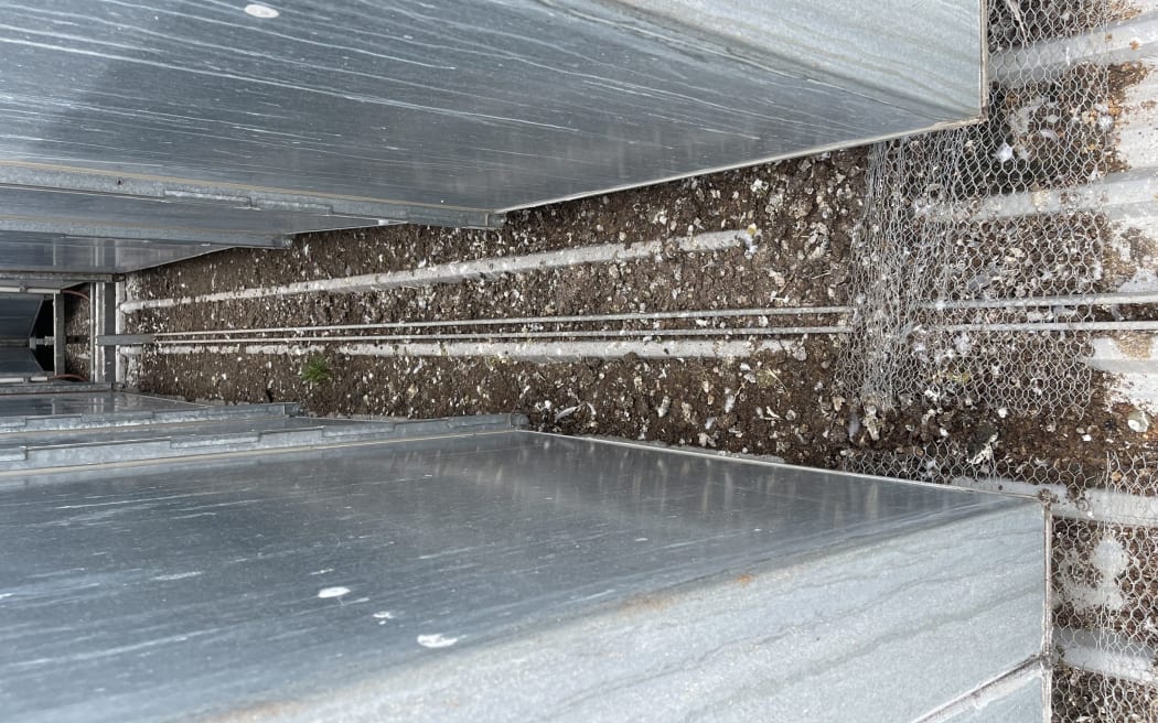 The state of the Ashburton Trust Event Centre roof, prior to its clean up, where the heat ducts on the roof make it like "a five-star hotel".