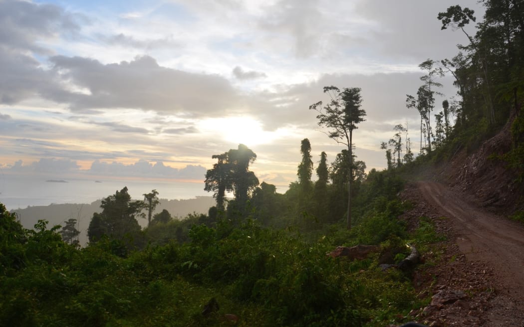 A logging road on PNG's Manus Island, October 2019.
