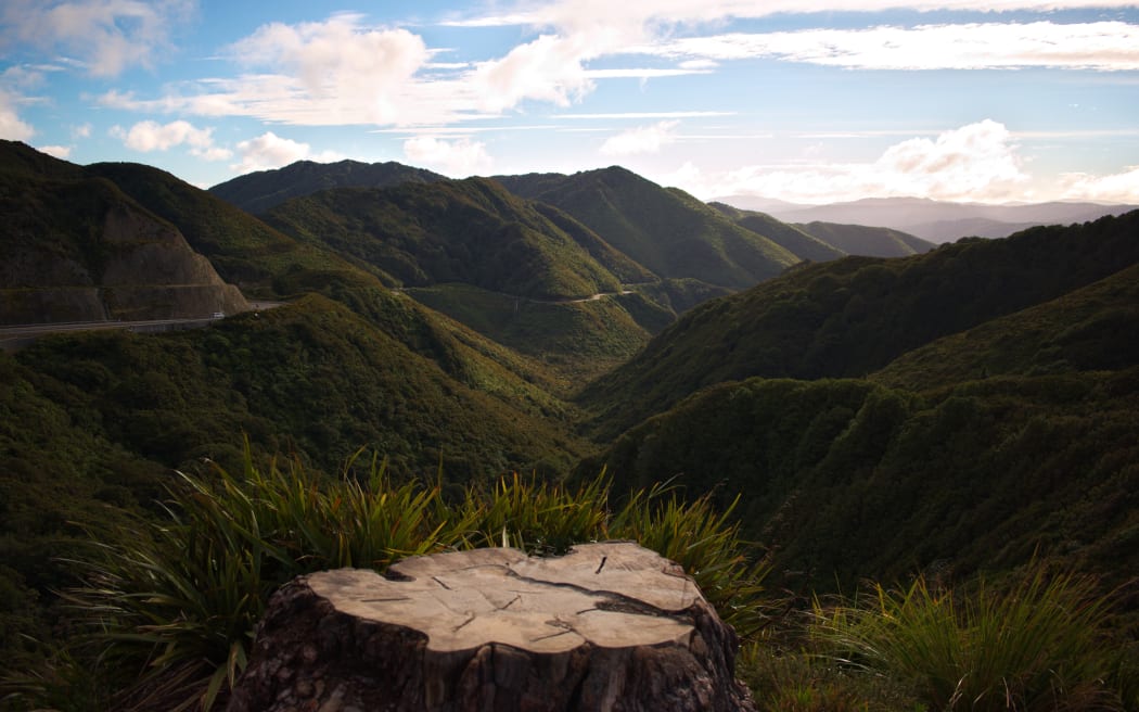 Rimutaka Ranges from the Remutaka Pass