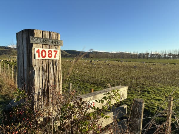 When Mark and Susannah took over Glen Eden 20 years ago it ran sheep and beef, but they've since diversified into arable cropping, agri-tourism and astronomy.