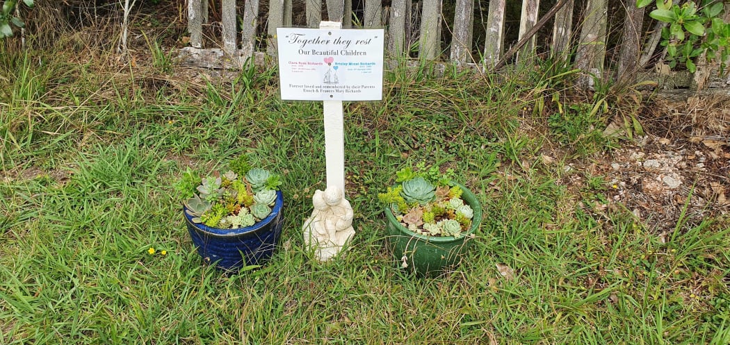 Succelent gardens on the graves of Clara and Brinley Richards