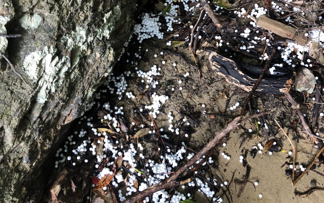 Polystyrene beads on the beach at Army Bay on Moturua Island