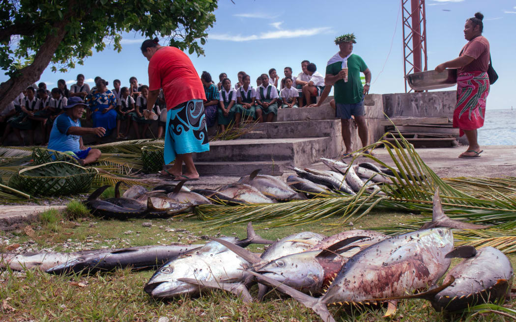 School children in Nukunonu, Tokelau watching Tuna Inati process (equal distribution of food).