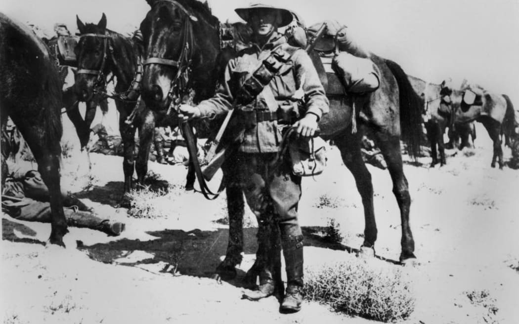 Member of the Australian 2nd Light Horse on active duty in the Middle East, ca. 1917 Unidentified soldier leading his horse.