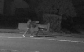 Suspects caught tampering with powerlines in Christchurch.