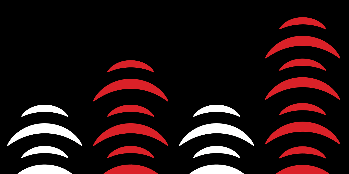 Graphic for The Radio New Zealand Charter