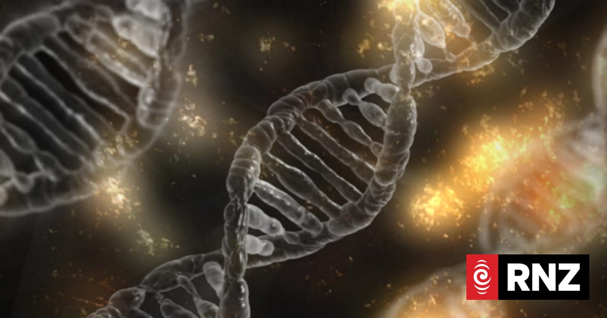 Nature journal reports new DNA evidence of Papuan genes in Maori ...