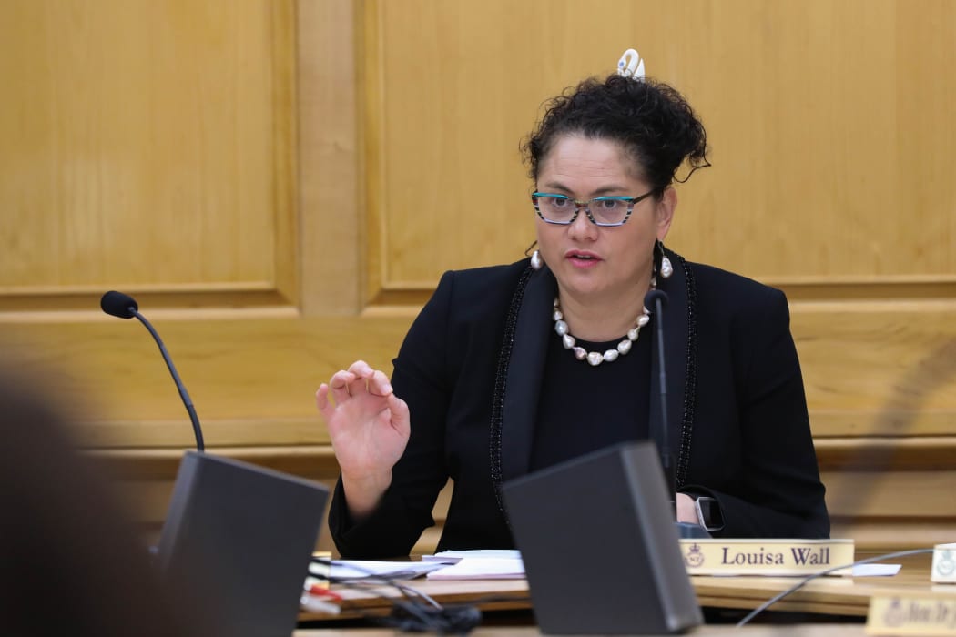 Labour MP Louisa Wall as Chair of Social Services Select Committee