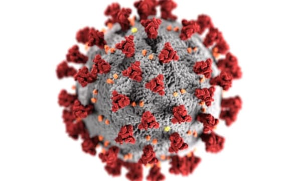 Close up of coronavirus