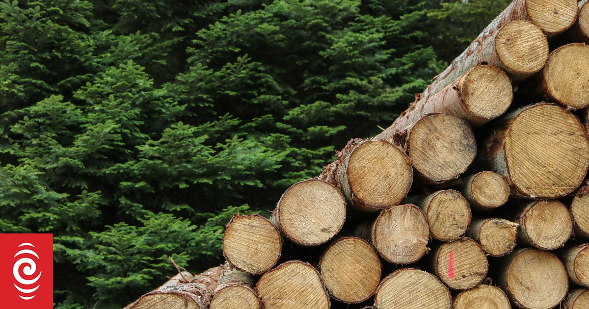 NZ wood processing sector grapples with new EU deforestation rules