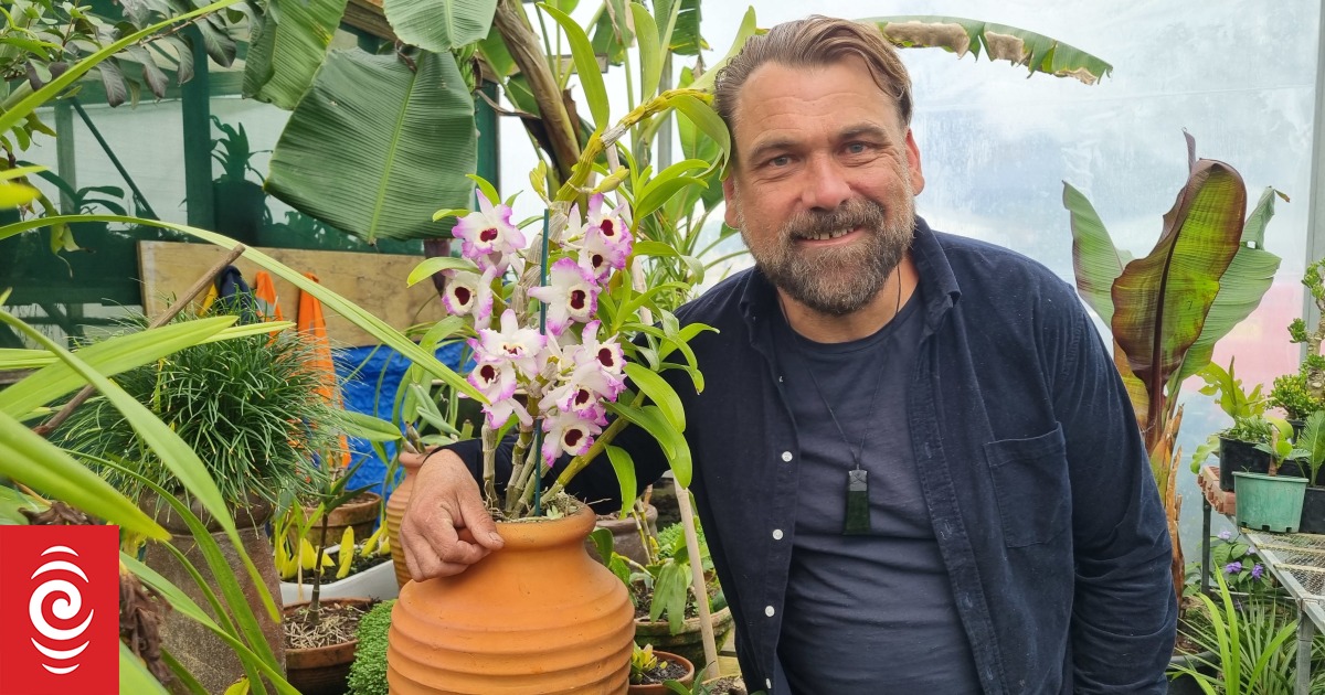 Welcome to the jungle: Taranaki Garden Festival goes tropical - Vimarsana News