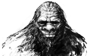 The Sasquatch