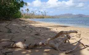 A Taveuni beach with Qamea Island in the background after Cyclone Winston in Fiji