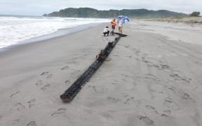 Debris from the fire washed up on the shore