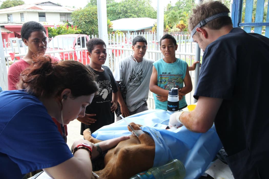 SPAW - Tonga vet clinic