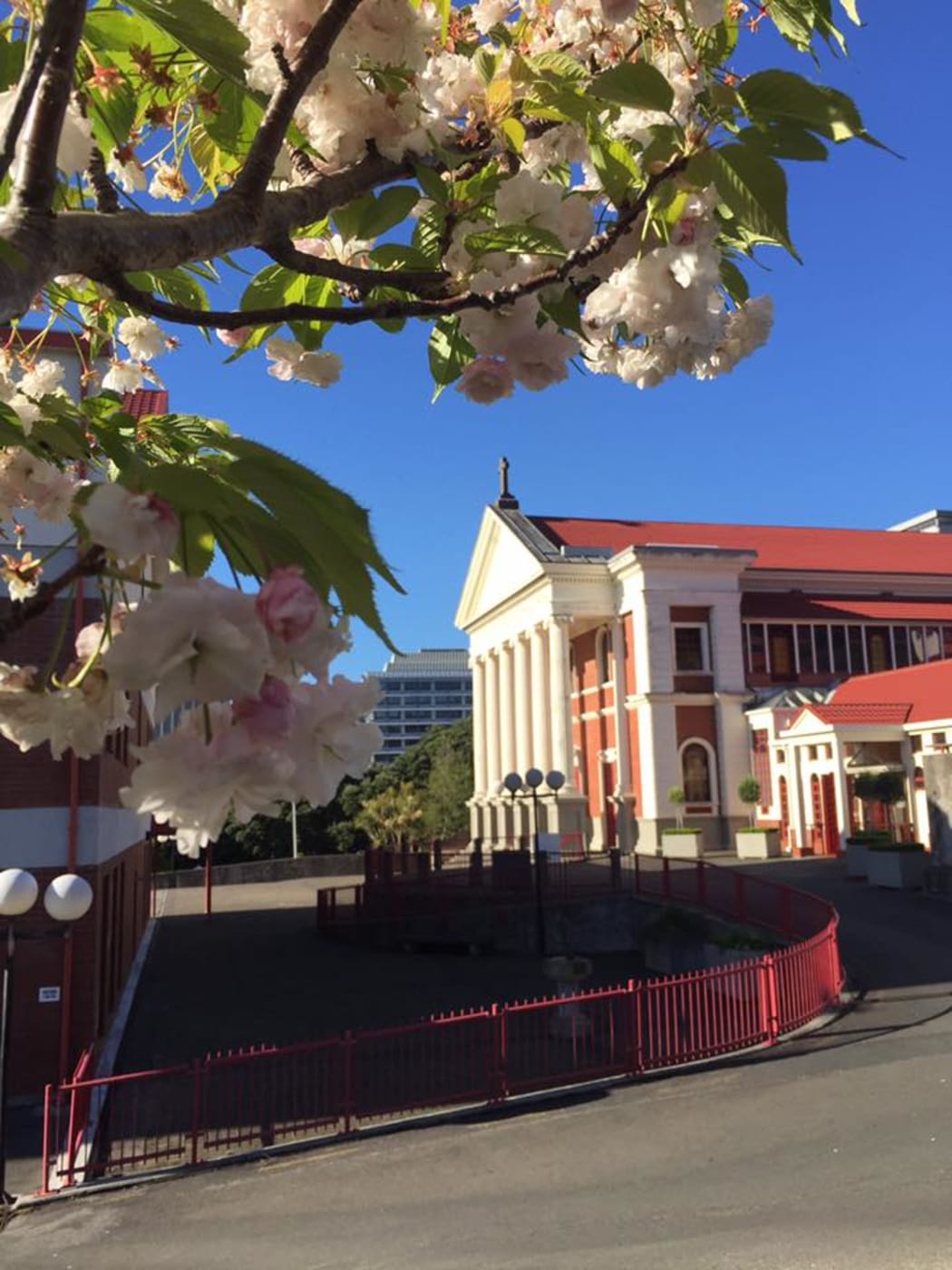 The Metropolitan Cathedral of the Sacred Heart in Wellington