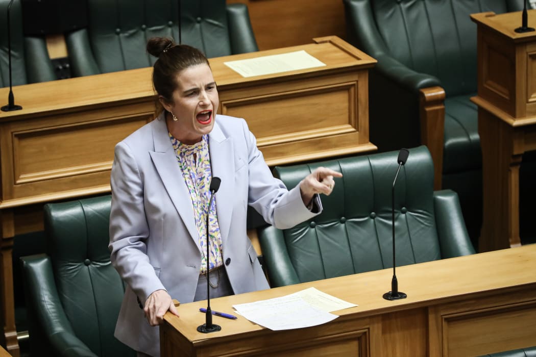 National Party MP Nicola Willis in the General Debate