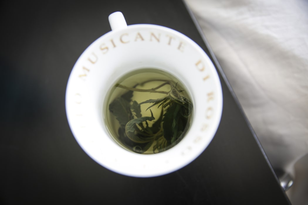 A close-up of Helen Kelly's cannabis tea.