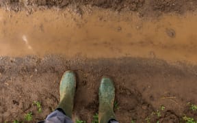 Farmer in rubber boots standing on muddy dirt road in countryside, feet from above
