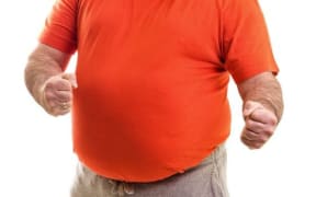 fat stomach