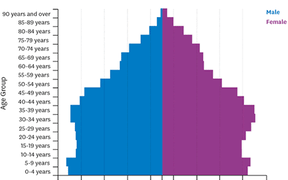 Moving chart showing change in age profile