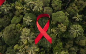 At one point, HIV infections was the leading cause of hospitalisations but many victims had to fare for themselves in rural areas where they were often ostracised by families and the community.
