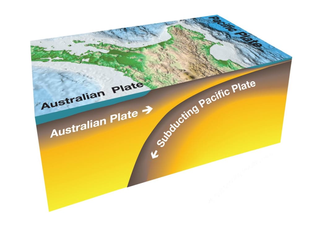 The Hikurangi subduction zone, where the Pacific Plate sinks beneath the Australian Plate, is New Zealand's largest fault and produces some of our biggest earthquakes.