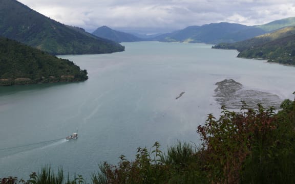 The scientists heading further into the Pelorus Sound.
