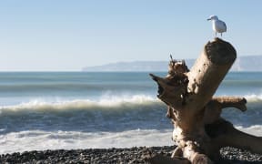 Haumoana Beach