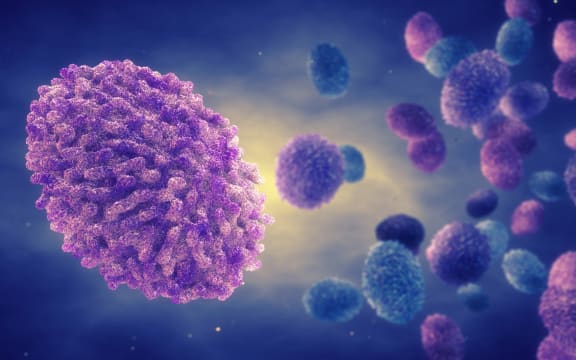 Monkeypox virus particles, illustration. Monkeypox is a zoonotic virus from the Poxviridae family that causes monkeypox, a pox-like disease. At the centre of the monkeypox virus is a core nucleoprotein that contains the DNA (deoxyribonucleic acid) genome. This is surrounded by an outer envelope that is covered with surface tubules. This virus, which is found near rainforests in Central and West Africa causes disease in humans and monkeys, although its natural hosts are rodents. It is capable of human to human transmission. In humans it causes fever, swollen glands and a rash of fluid-filled blisters.