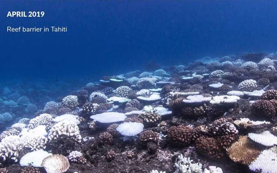 Three months after the January picture, this one shows the bleached reef in April. The bleaching took hold within a matter of weeks, scientists say.
