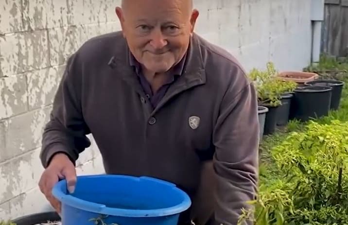 A gardener in the Magic Beans promo video