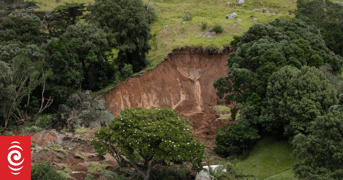 Witness describes 'real disaster' as Mauao landslide strikes Mount Maunganui campground