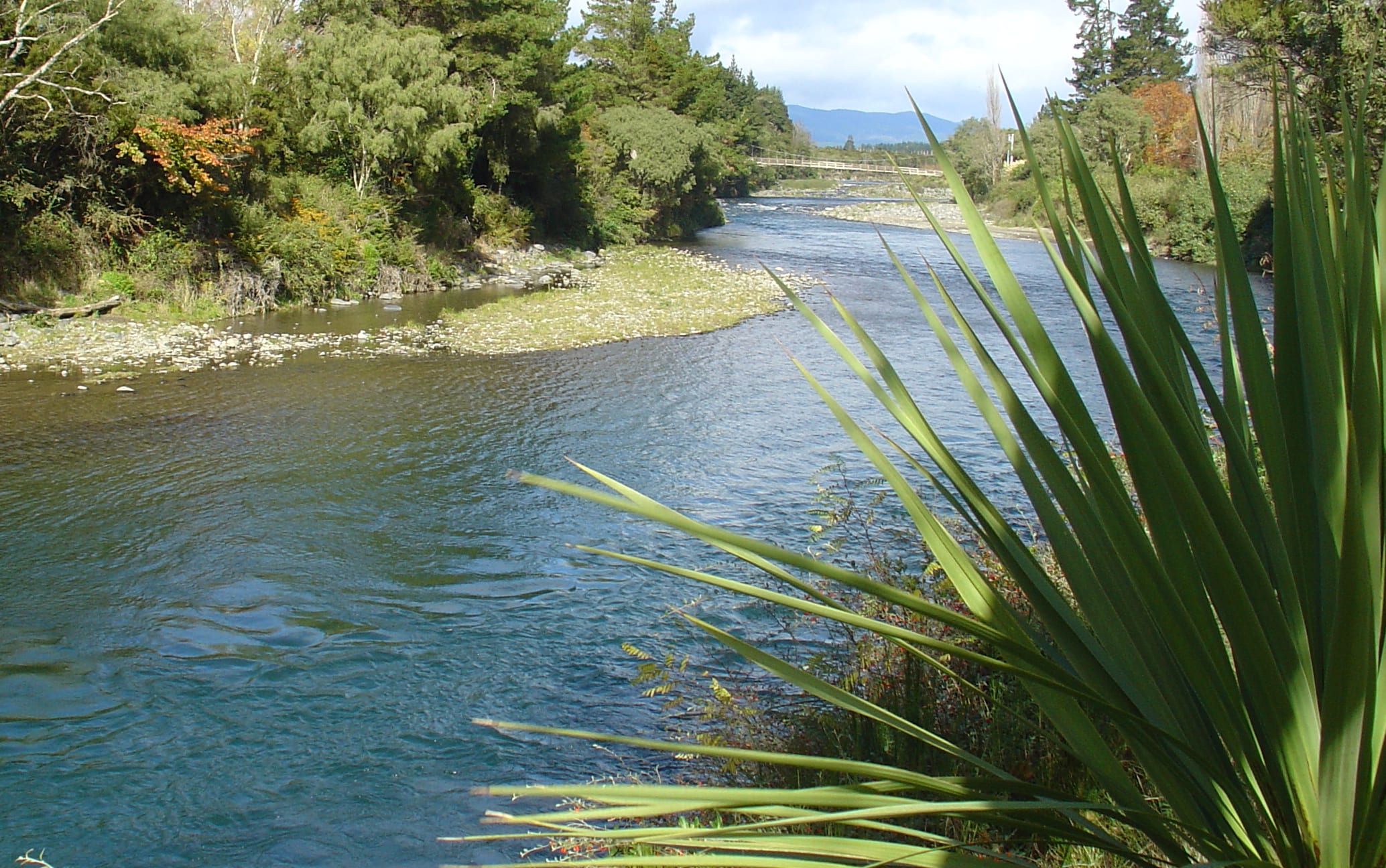 Water New Zealand wants more council cooperation with iwi.