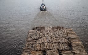 A barge filled with logs is pulled along the Mahakam River, past the town of Samarinda, East Kalimantan, 4 November 2021.