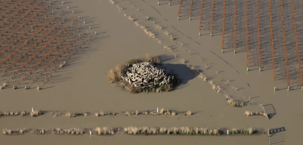 Sheep trying to keep dry on a hillock surrounded by floodwaters in Marlborough.