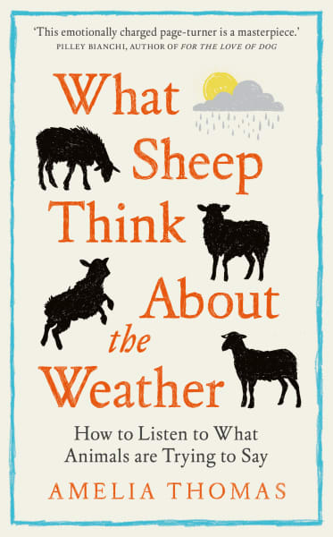 Cover of 'What Sheep Think About the Weather' by Amelia Thomas