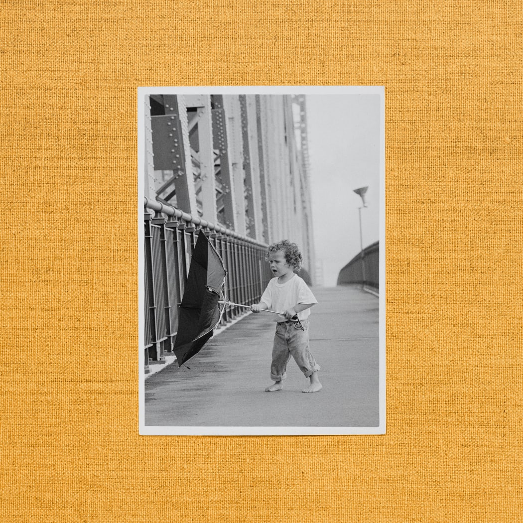 Wallflower cover art