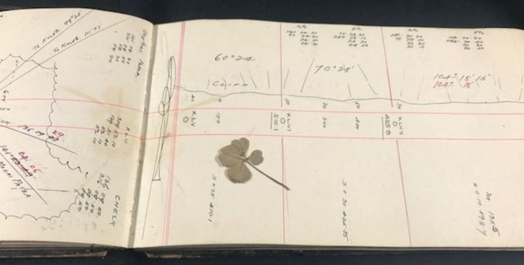 A four-leaf clover pressed in a surveyor's field notebook.