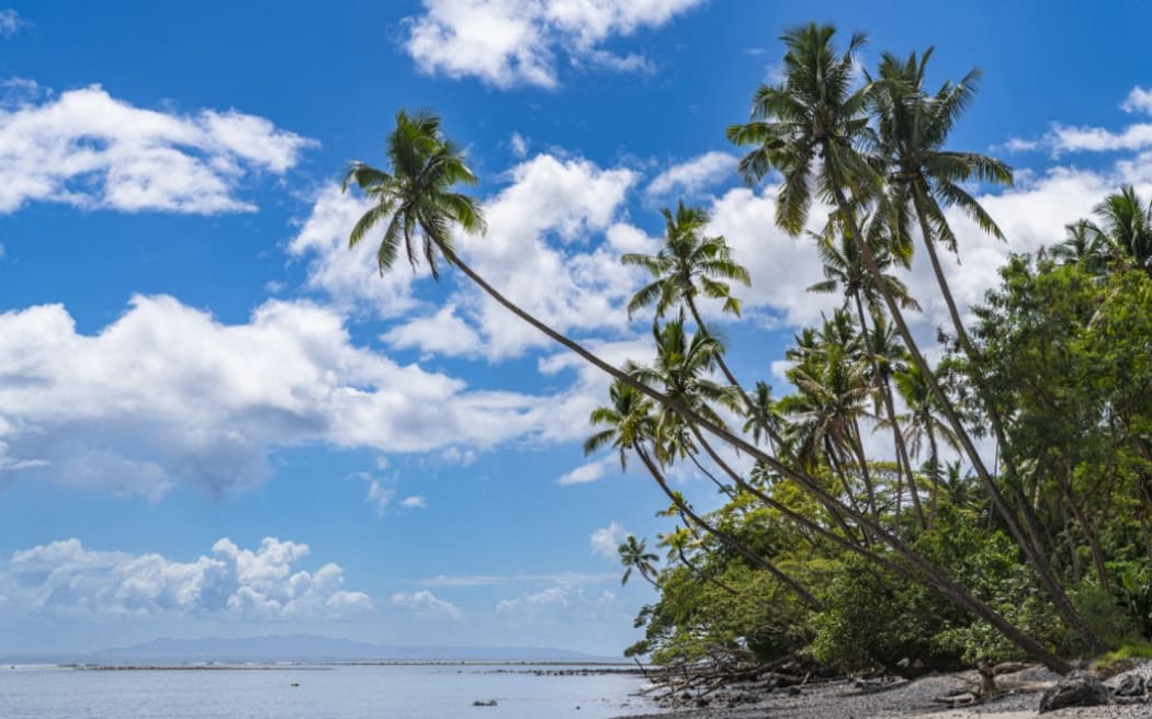 Palm fringed Coral beach, Taveuni, Fiji.