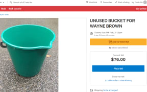 TradeMe auction, Unused bucket for Wayne Brown, raise money for Auckland flood victims