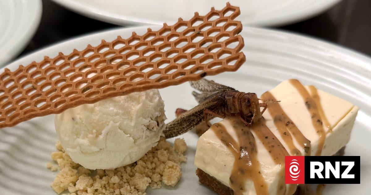 What's the appetite for edible insects?
