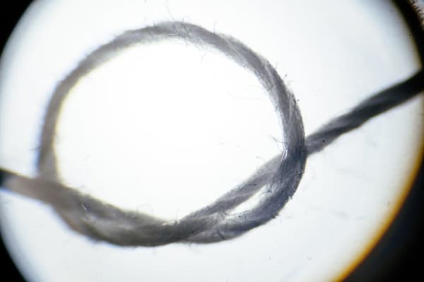 Extreme close-up of a sewing thread shows the individual fibres, made up of millions of invisible convoluted cellulose molecules.