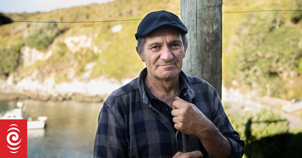 Great Barrier Island residents fear overfishing has decimated the kōura ...