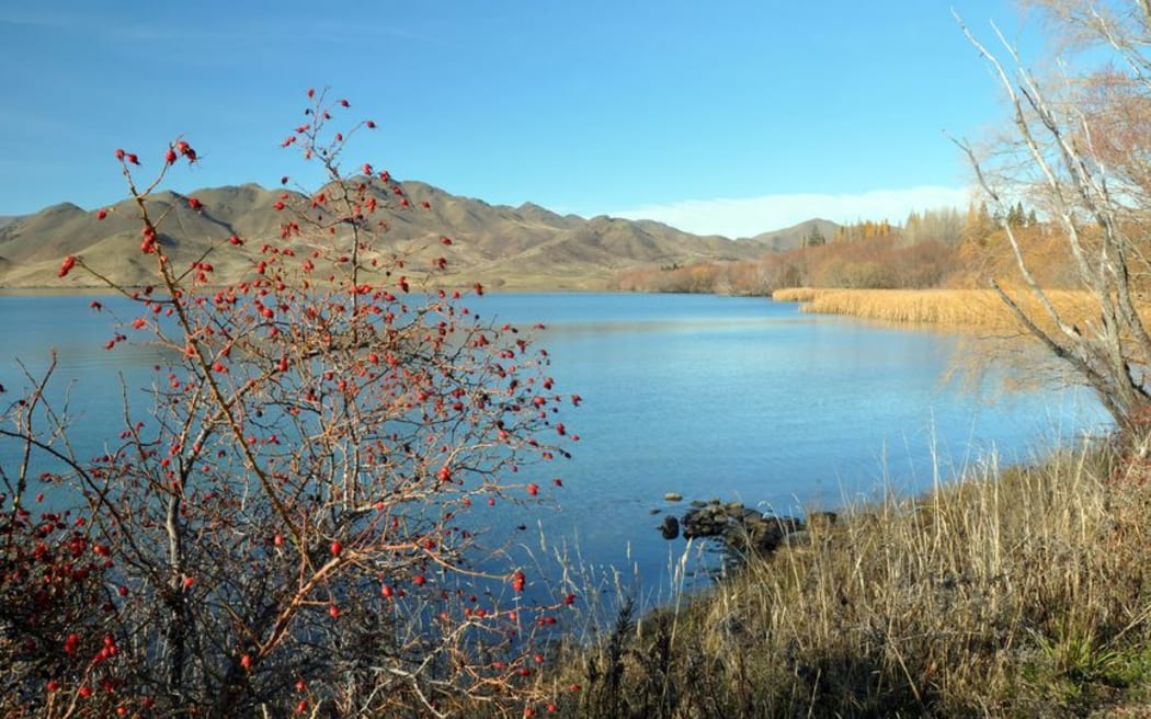 Lake Benmore in Central Otago.