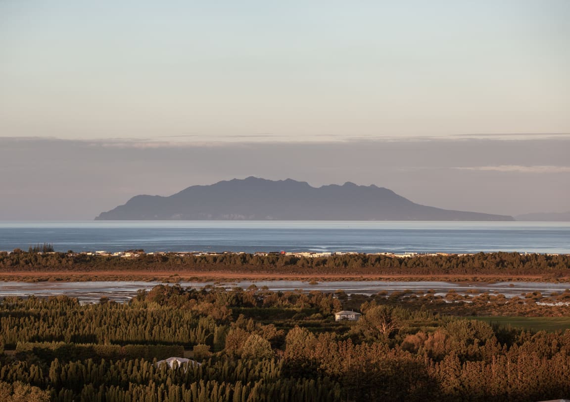 Hauturu-o-Toi/Little Barrier Island north of  Auckland, ‘jewel in the crown’ of New Zealand’s protected islands