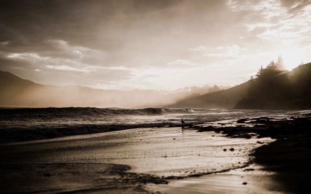 Tokomaru Bay