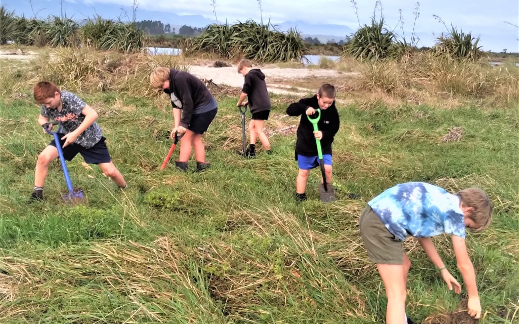 Students plant natives art the Ōpārara Estuary