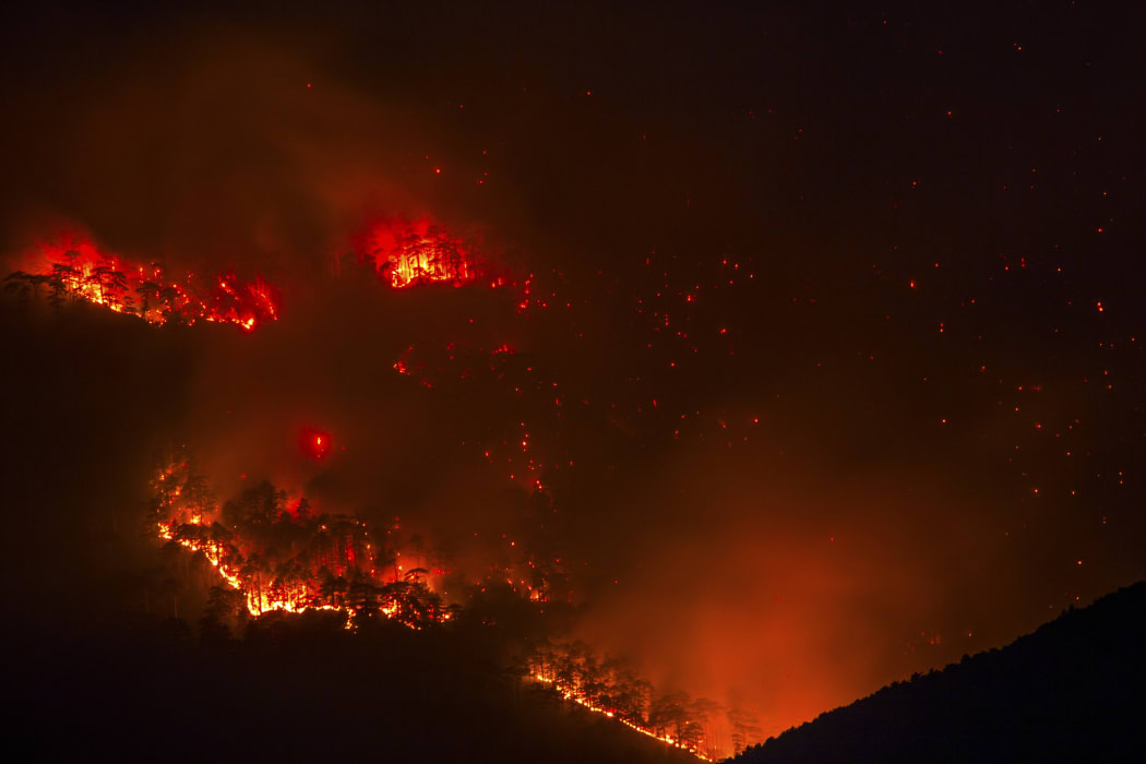 A bushfire burning at night (stock photo).